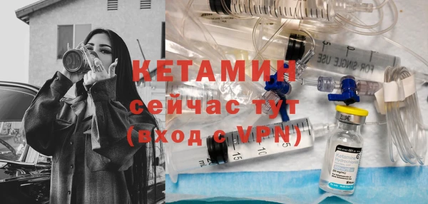 шишки Горняк